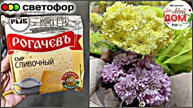 🔥В Светофор привезли ЧИА, туи, сыр сентябрь 2025❤️🔥