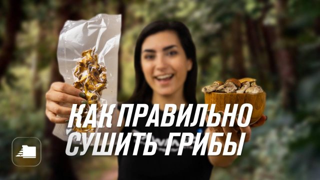 Как правильно сушить грибы на зиму 🍄 Проверенный способ