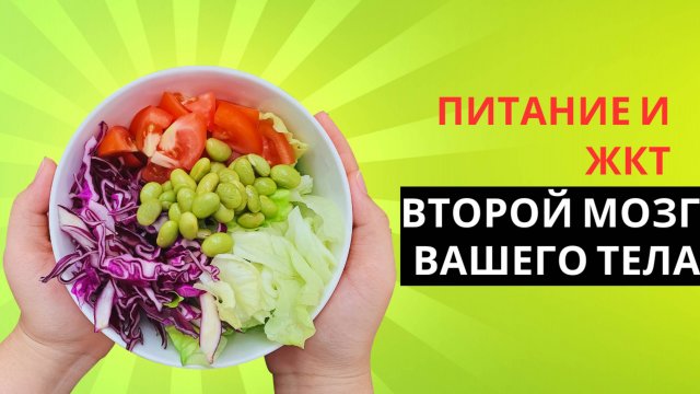 ВАШЕ ПИТАНИЕ И ЖКТ - ВТОРОЙ МОЗГ ВАШЕГО ТЕЛА!