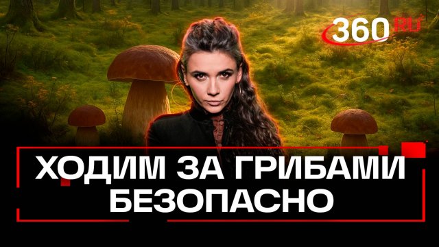 Как ходить за грибами со смартфоном и что делать, если он не ловит?