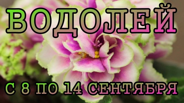 ВОДОЛЕЙ таро прогноз на неделю с 8 по 14 СЕНТЯБРЯ 2025 года.