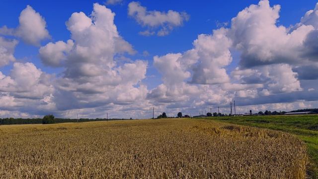 Как живёт молодая семья в деревне Соколово? | Дом, семья и село