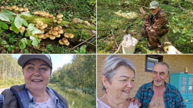 ПОЕХАЛИ В ЛЕС, НАБРАЛИ ГРИБОВ,ТЕПЕРЬ ОБЕДАТЬ И ОТДЫХАТЬ.