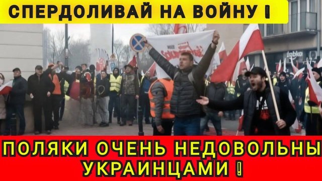 НАКИПЕЛО ❗️ПОЛЯК ПРО УКРАИНЦЕВ ❗️