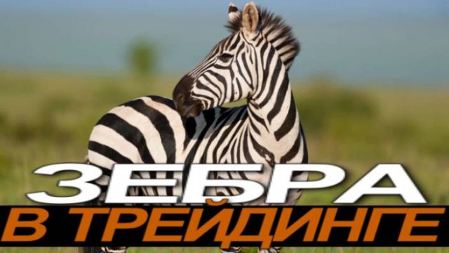 Как Торговать в ПЛЮС и НЕ сливать? #профессиональный_трейдер