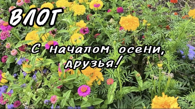 ВЛОГ. С началом осени!