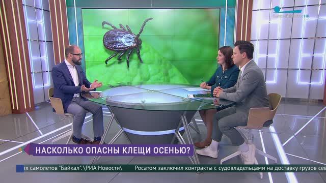 Насколько опасны клещи осенью?