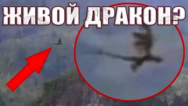 Живые Драконы проснулись в Китае?