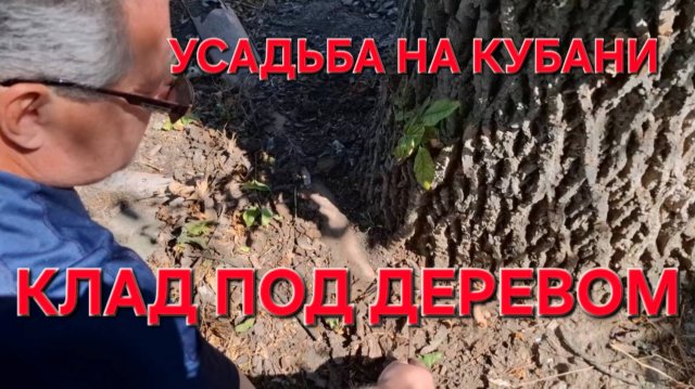 740 Клад под старым деревом. В Усадьбе на Кубани. Где тонко там и рвётся.
