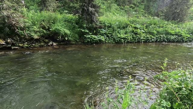 Большое Летнее Приключение 2025)) часть №  2 😀🐟🏔️👍 Рыбалка на хариуса в Горах Сибири