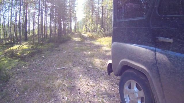 Грибной сезон в разгаре!!!