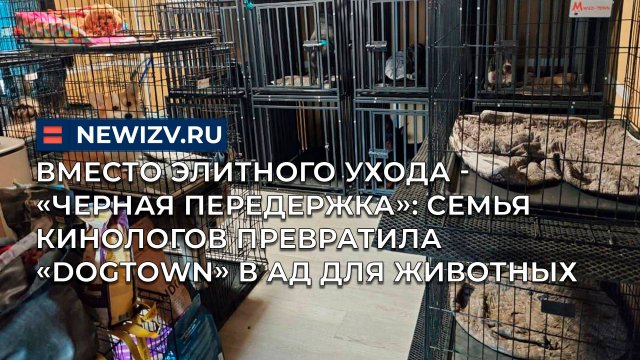 Вместо элитного ухода - «Черная передержка»: семья кинологов превратила «Dogtown» в ад для животных