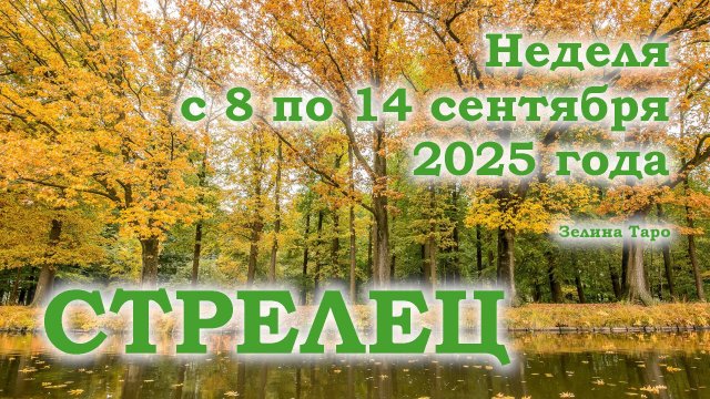 СТРЕЛЕЦ | ТАРО прогноз на неделю с 8 по 14 сентября 2025 года