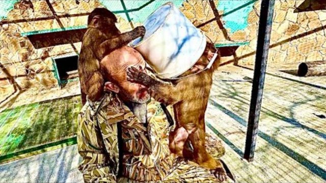 Люська уже не знает ведро для мусора толи себе на голову надеть, толи Владу)))