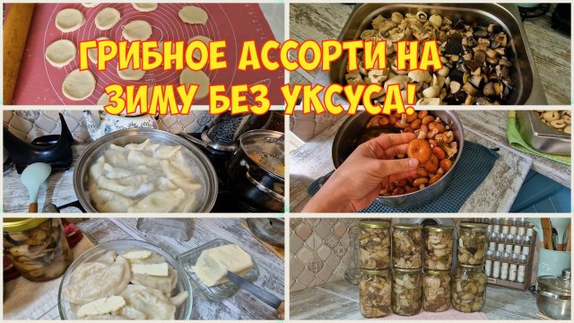 Такие грибы будем есть ложками! Мои первые вареники. С творогом и картошкой с грибами.
