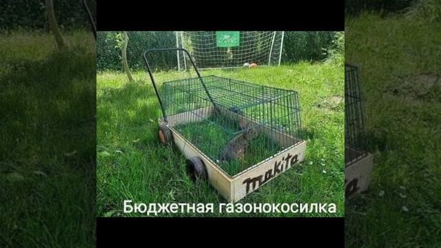 Минутка смеха продолжения жизни ради