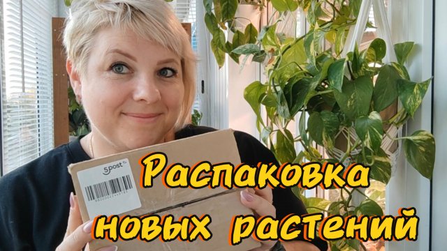 Распаковка посылки с новыми растениями