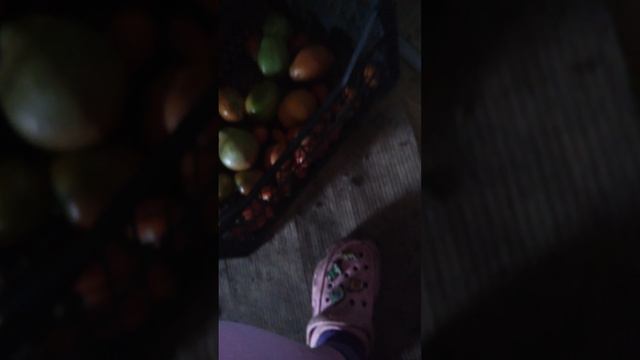 гуляем с Марусей