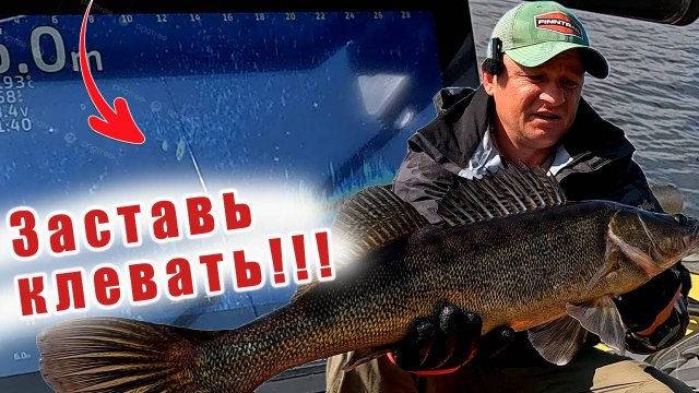 ВЫШЕЛ НА МЕЛЬ!!! ОСЕННИЙ КЛЁВ СУДАКА!!! НУЖНО ВЗЯТЬ ДВА КОМПЛЕКТА!!!