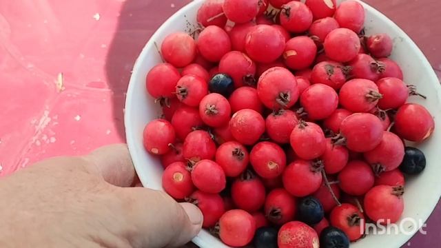 Всего по немножку /как живут в русской деревне