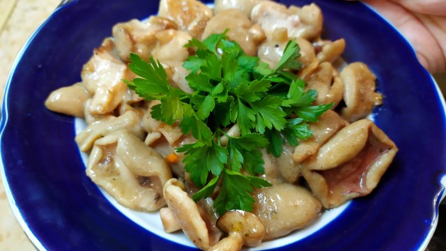 Как вкусно приготовить маслята на сковороде🍄