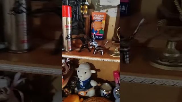 Утренний эфир от 6.09.25 делаю грибы, мою посуду, топлю баню и болтаю с вами
