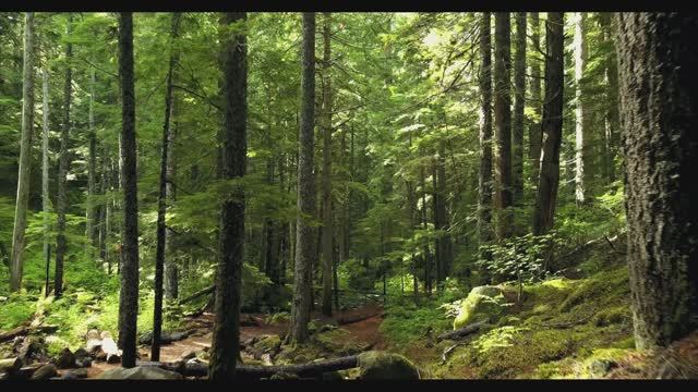 Релакс 🎧