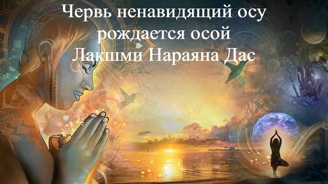 ЧЕРВЬ НЕНАВИДЯЩИЙ ОСУ РОЖДАЕТСЯ ОСОЙ | Лакшми Нараяна Дас |ВЕДЫ