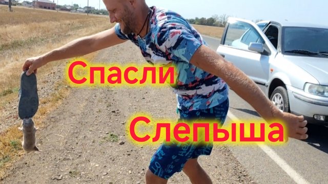 Слепыш напал на Володю/Вернули СОБАКУ/Подарки от подписчиков ❤️/Воспитываем МАРСА