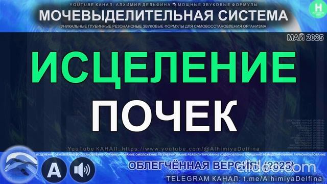 КОД ЗДОРОВЬЯ ПОЧЕК Запуск Глубинного Восстановления Резонансный Саблиминал