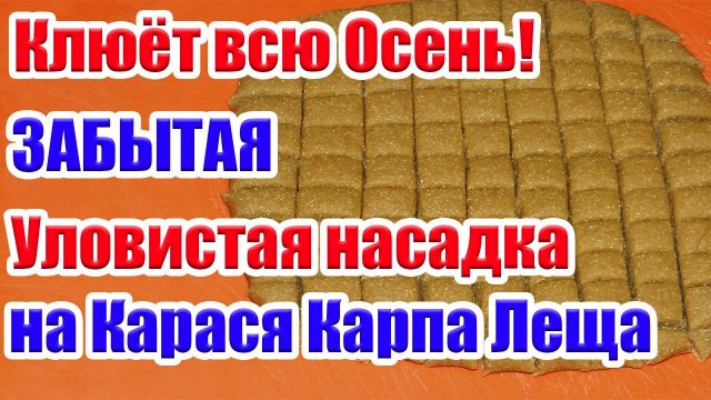 Будет клевать всю осень. Насадка на Карася Карпа Леща На что ловить рыбу Осенью