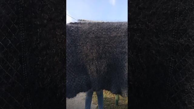 1000195297.mp4 Пуховые котята для здоровья и тепла .т.89020931602