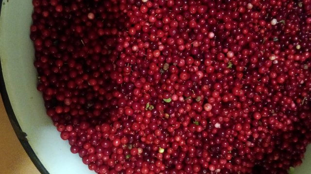 Как мы катаем Бруснику. Быстро и просто.