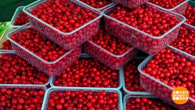Клоповка: уникальная, дикая, вкусная. Доброе утро. Суббота. Фрагмент выпуска от 06.09.2025
