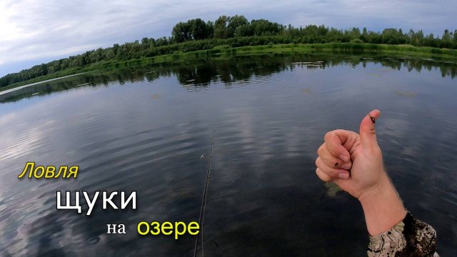 Ловля щуки на мелководье в зарослях травы. Щука на неогруженную резину. Часть 2