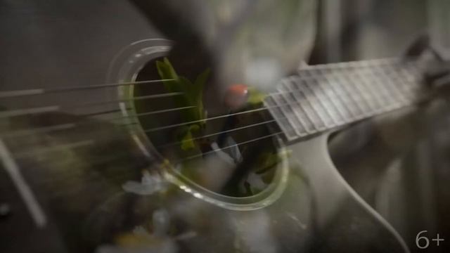 Виталий Аверьянов - НИЧЕГО (Official video) 6+