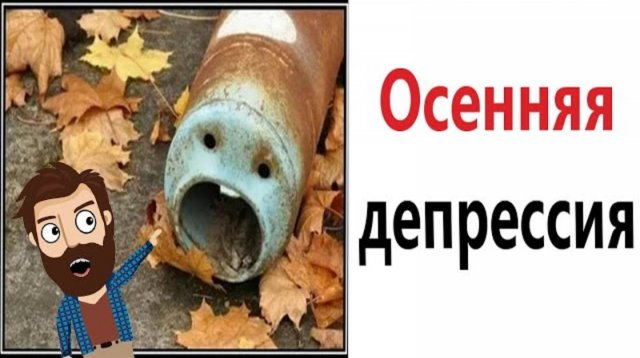 Приколы! 😱 НА НАС НАПАЛА ОСЕНЬ! Смешные видео - Доми шоу!