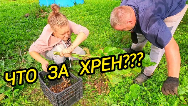 КУПИЛИ ДОМ В ДЕРЕВНЕ | Что за хрен | Деревенские хлопоты | Деревенская жизнь