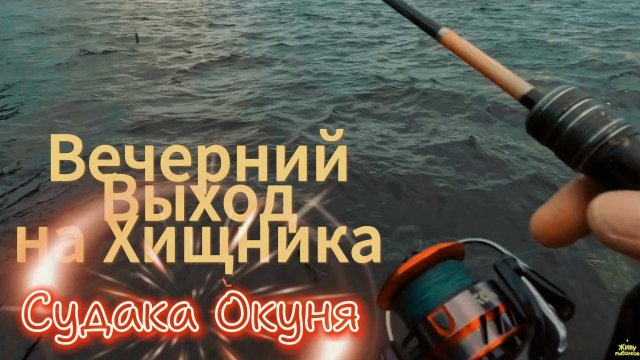 СЕНТЯБРЬСКАЯ ВЕЧЕРНЯЯ РЫБАЛКА НА ХИЩНИКА ОТВОДНОЙ РУЛИТ ОКУНЬ СУДАК КЛЮЮТ КАК ПРИВЯЗАНЫЕ НА НЕВЕ