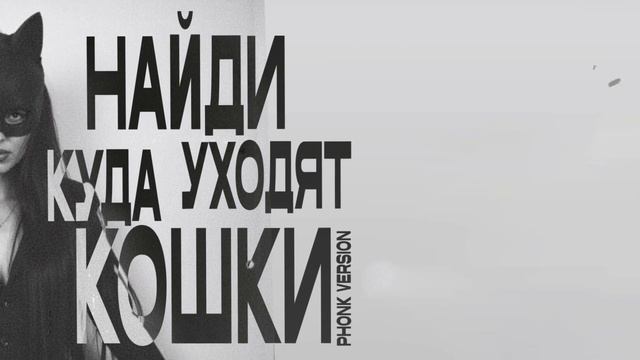 НайдИ — Куда уходят кошки (phonk version)