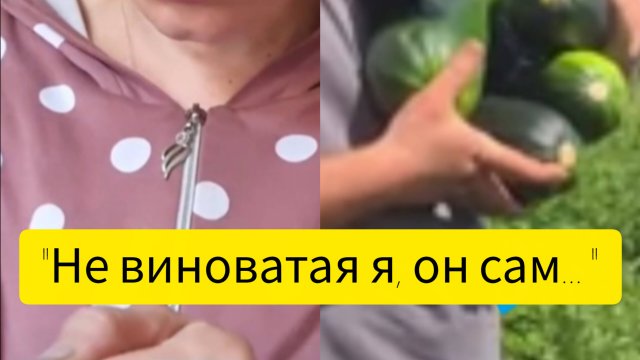 "Не виноватая я, он сам... "