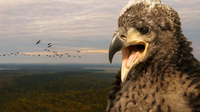 Путешествие в сердце Европы: что скрывают леса и озера северной Беларуси? | Все как у людей