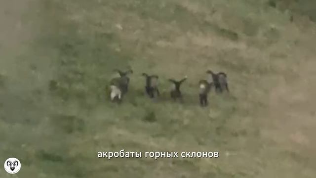 фильм
