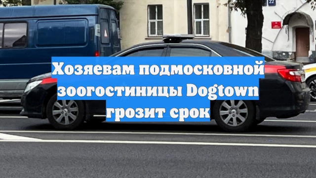 Хозяевам подмосковной зоогостиницы Dogtown грозит срок
