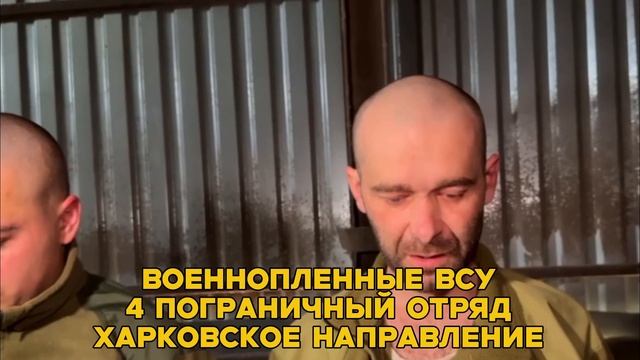 Украинские военные сдаются в плен на Харьковском направлении.