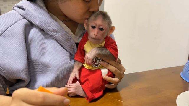 Обезьянка спокойная лапатусечка пищит обнимает маму просит кушать Умывается Ест с вилки УМНИЧКА