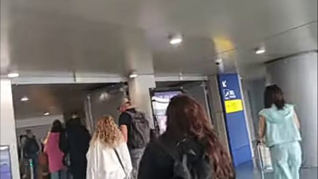 Пересадка в Шанхае. Главное идти по жёлтым, трансфер.