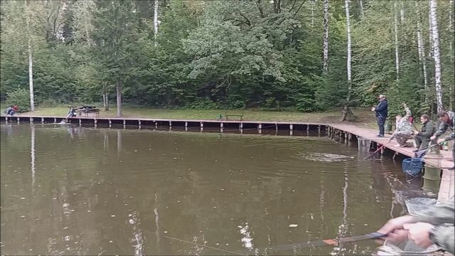 Блёсны отлично работают на запуске. Клёвое место, Лосиный остров, спорт-зона.