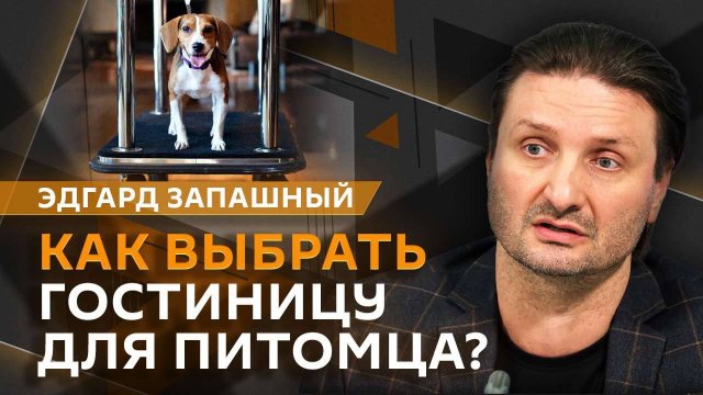 Эдгард Запашный. Зоогостиницы, северные олени, голубеводы против хищников, нападение акул