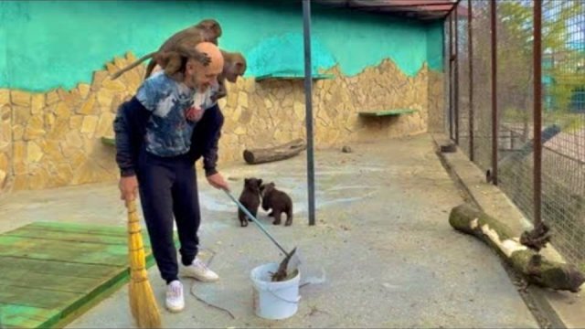 Степка с воплями убегает от двух медведей и прячется то за папой, то за Тосечкой)))